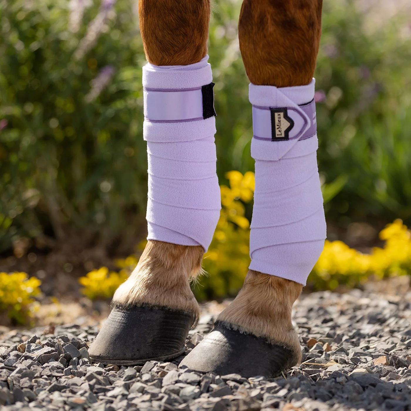 LeMieux Loire Polo Wraps - Image 15