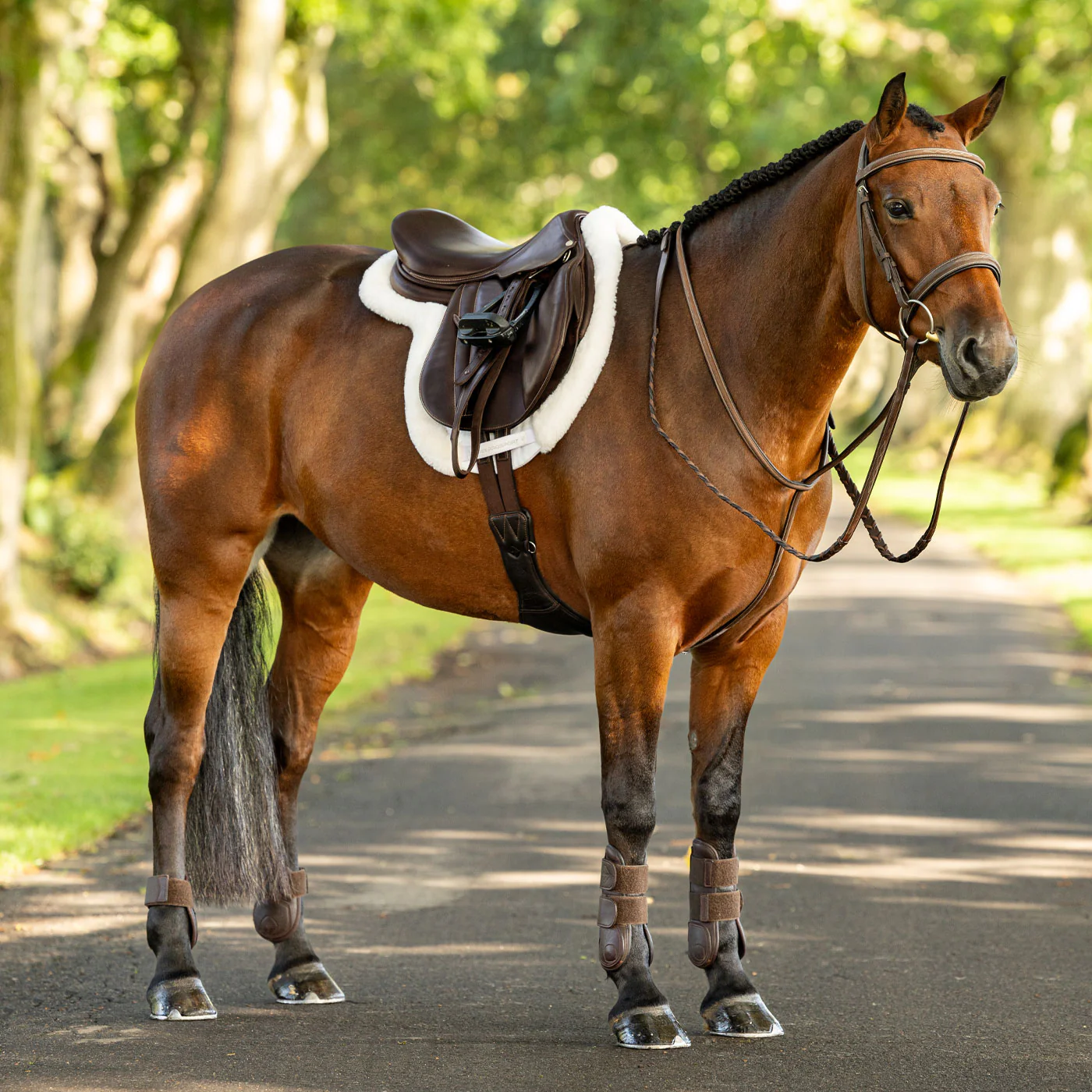 LeMieux Merino + ProSorb Hunter Saddle Pad - Image 3