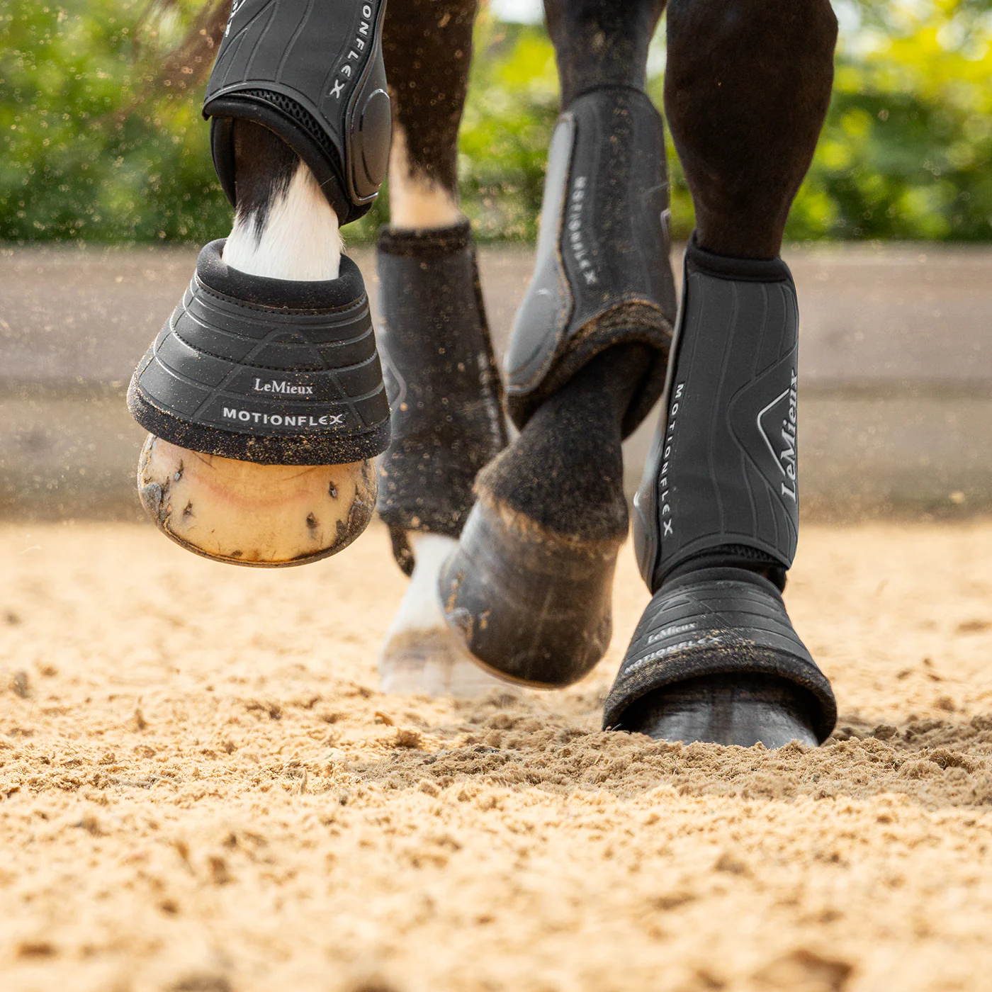 LeMieux Motionflex Over Reach Boots - Image 4