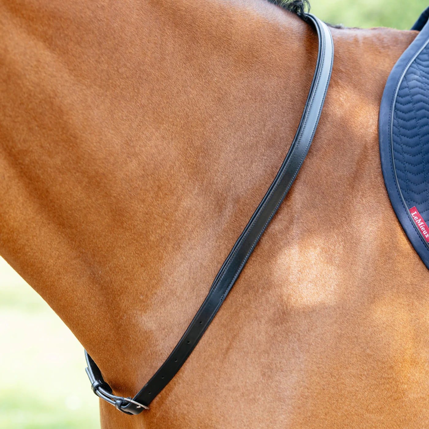 LeMieux Neck Strap - Image 2
