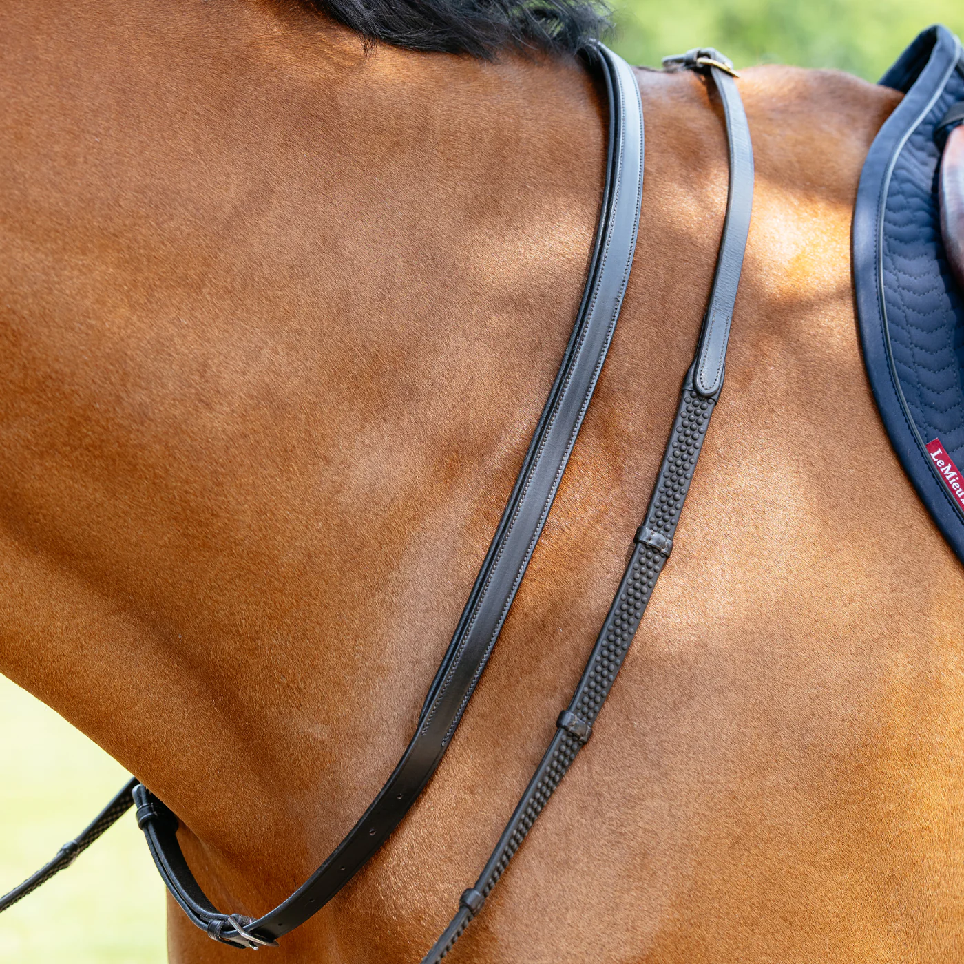 LeMieux Neck Strap - Image 4