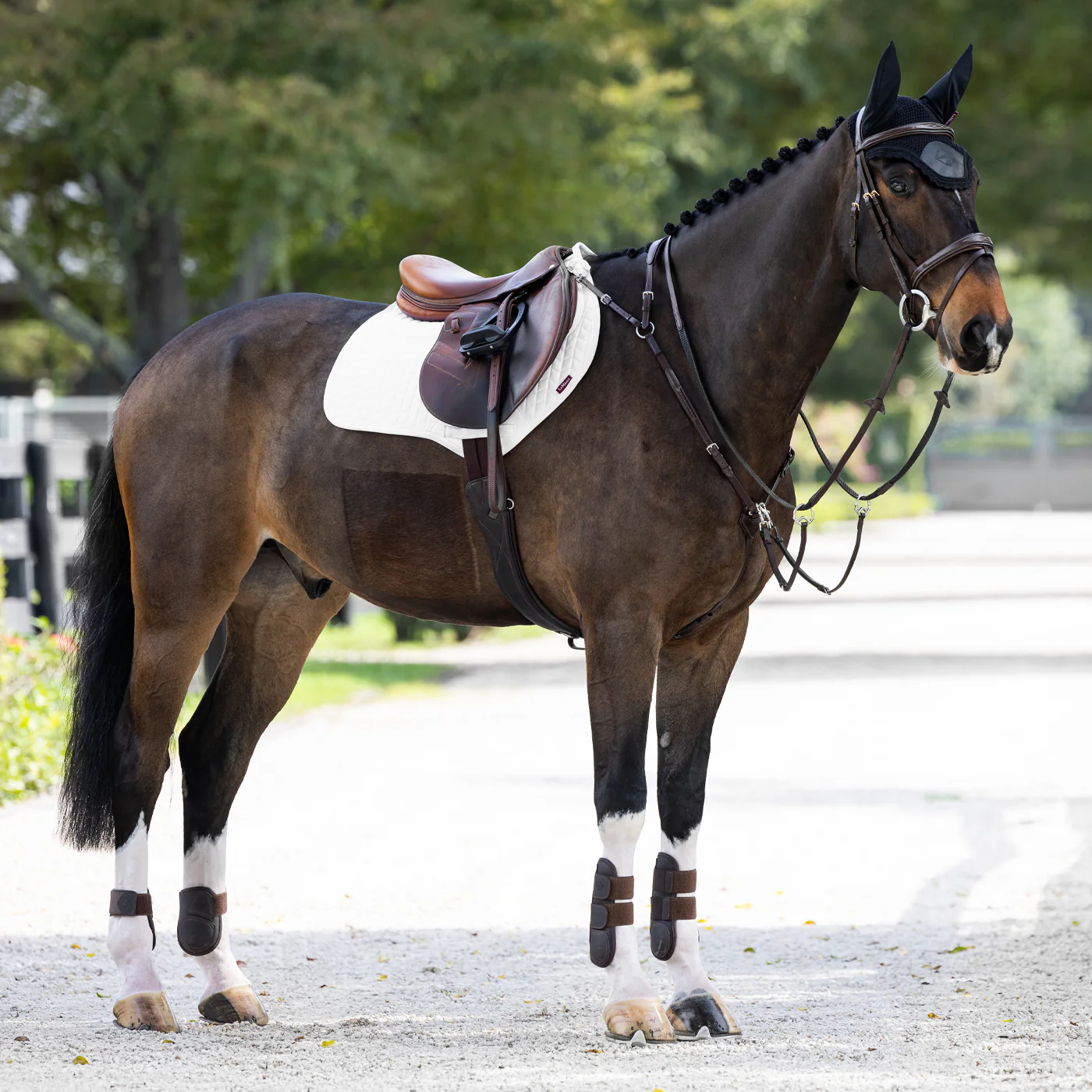 LeMieux ProSorb Plain Two Pocket Close Contact Saddle Pad - Image 3