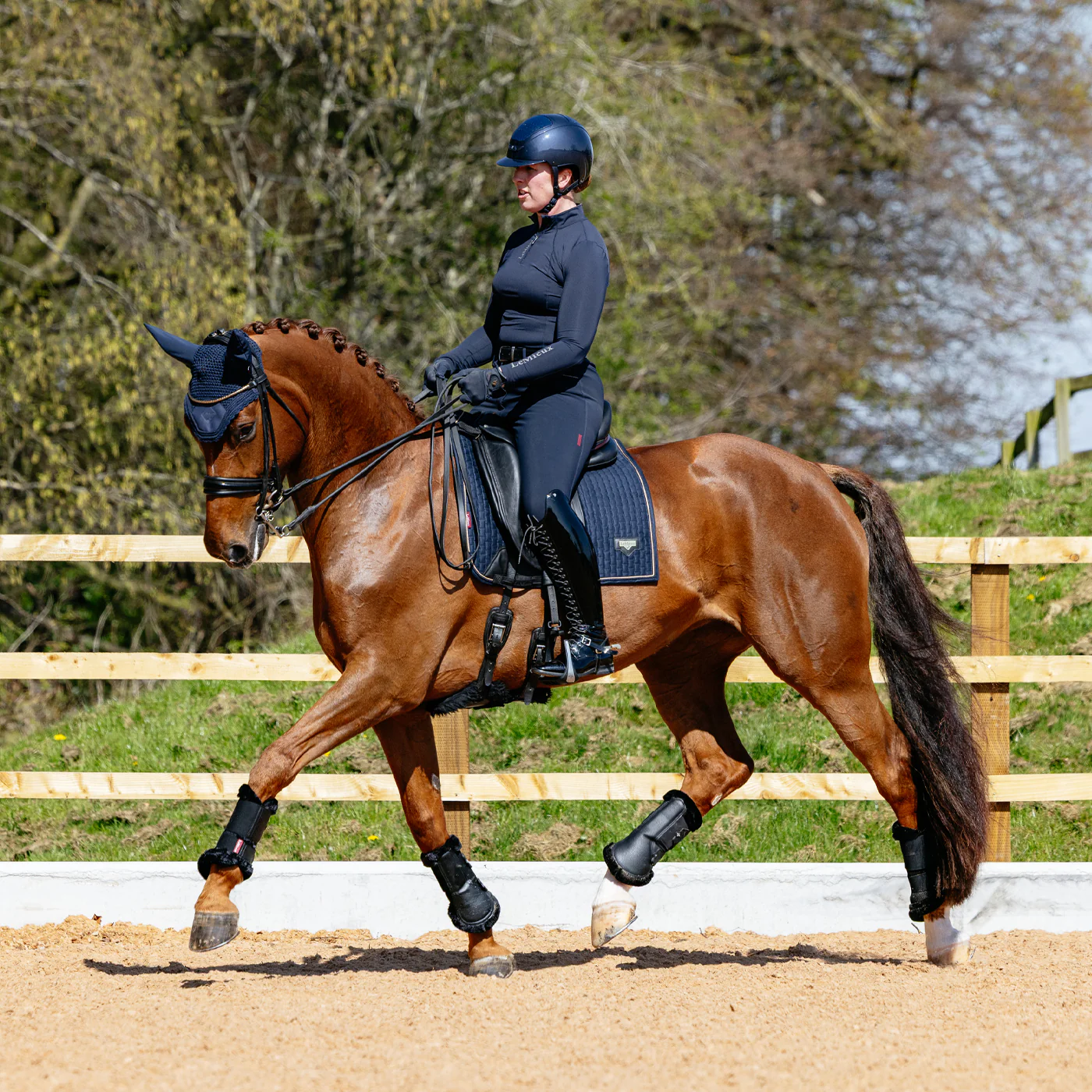 LeMieux Puissance Suede Dressage Saddle Pad - Image 3