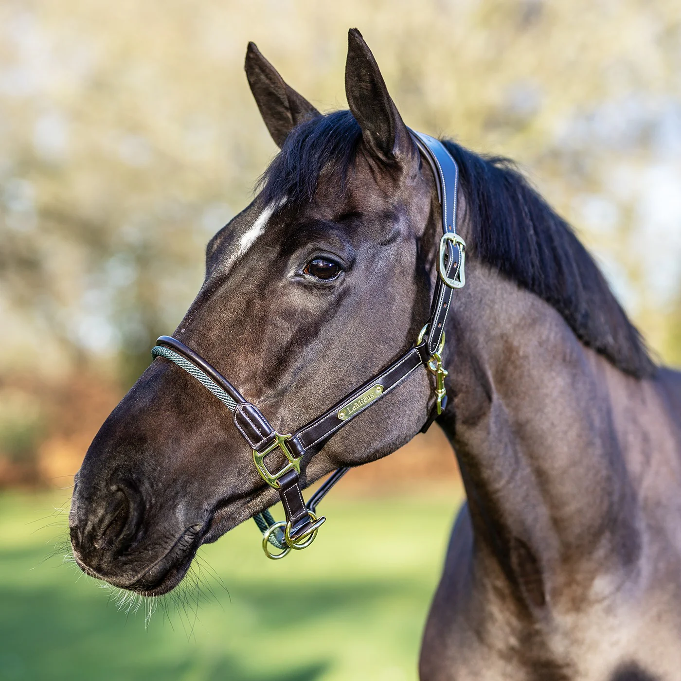 LeMieux Rope Control Halter - Image 2