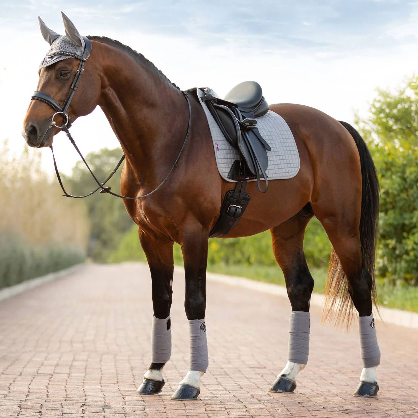 LeMieux Suede Dressage Square Saddle Pad - Image 15
