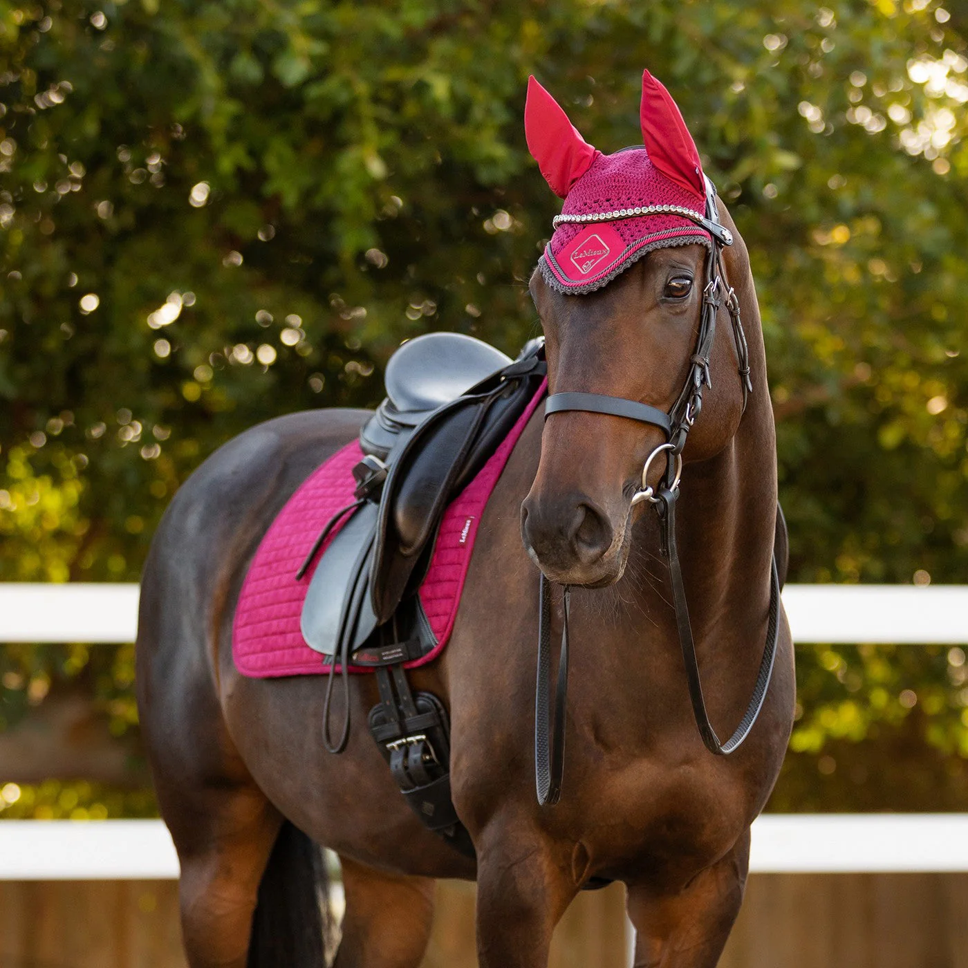 LeMieux Suede Dressage Square Saddle Pad - Image 19