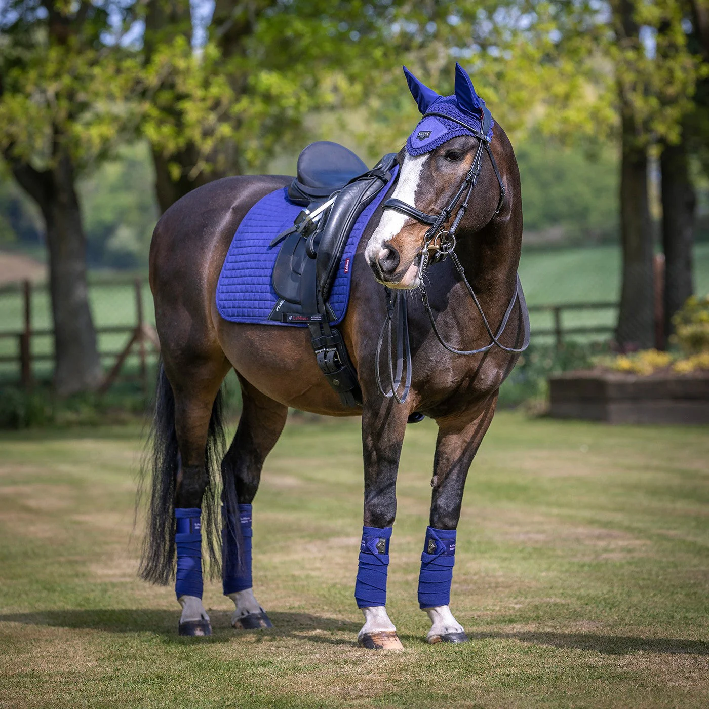 LeMieux Suede Dressage Square Saddle Pad - Image 28