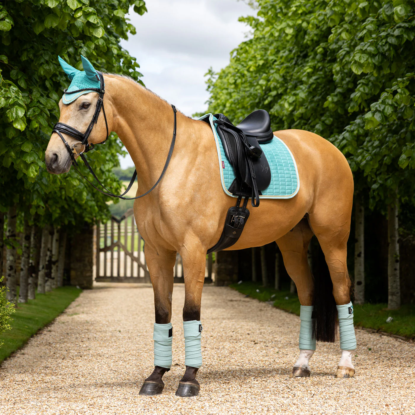 LeMieux Suede Dressage Square Saddle Pad - Image 32
