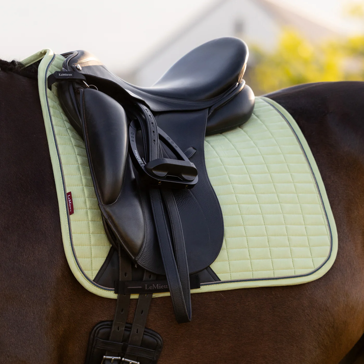 LeMieux Suede Dressage Square Saddle Pad - Image 37