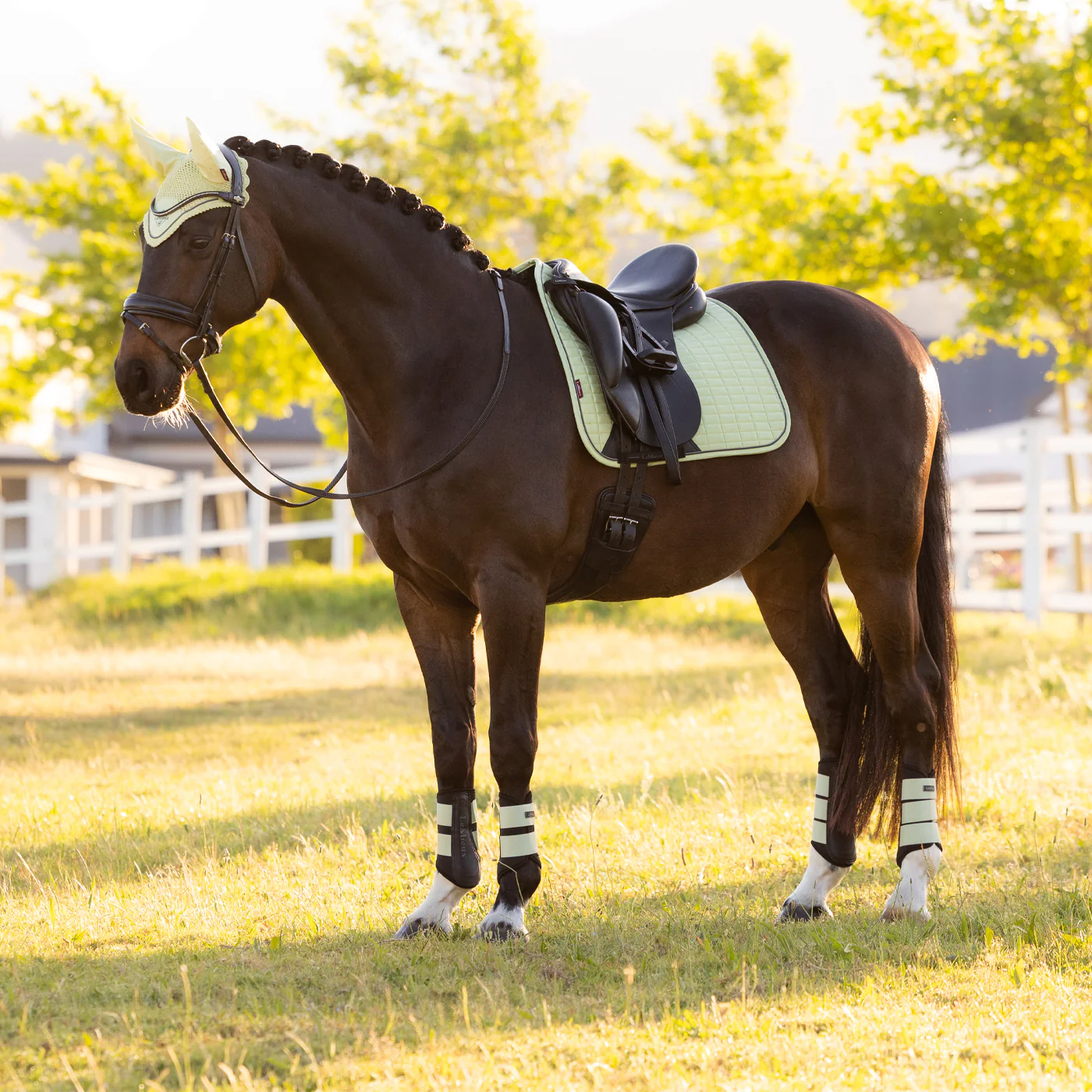 LeMieux Suede Dressage Square Saddle Pad - Image 39