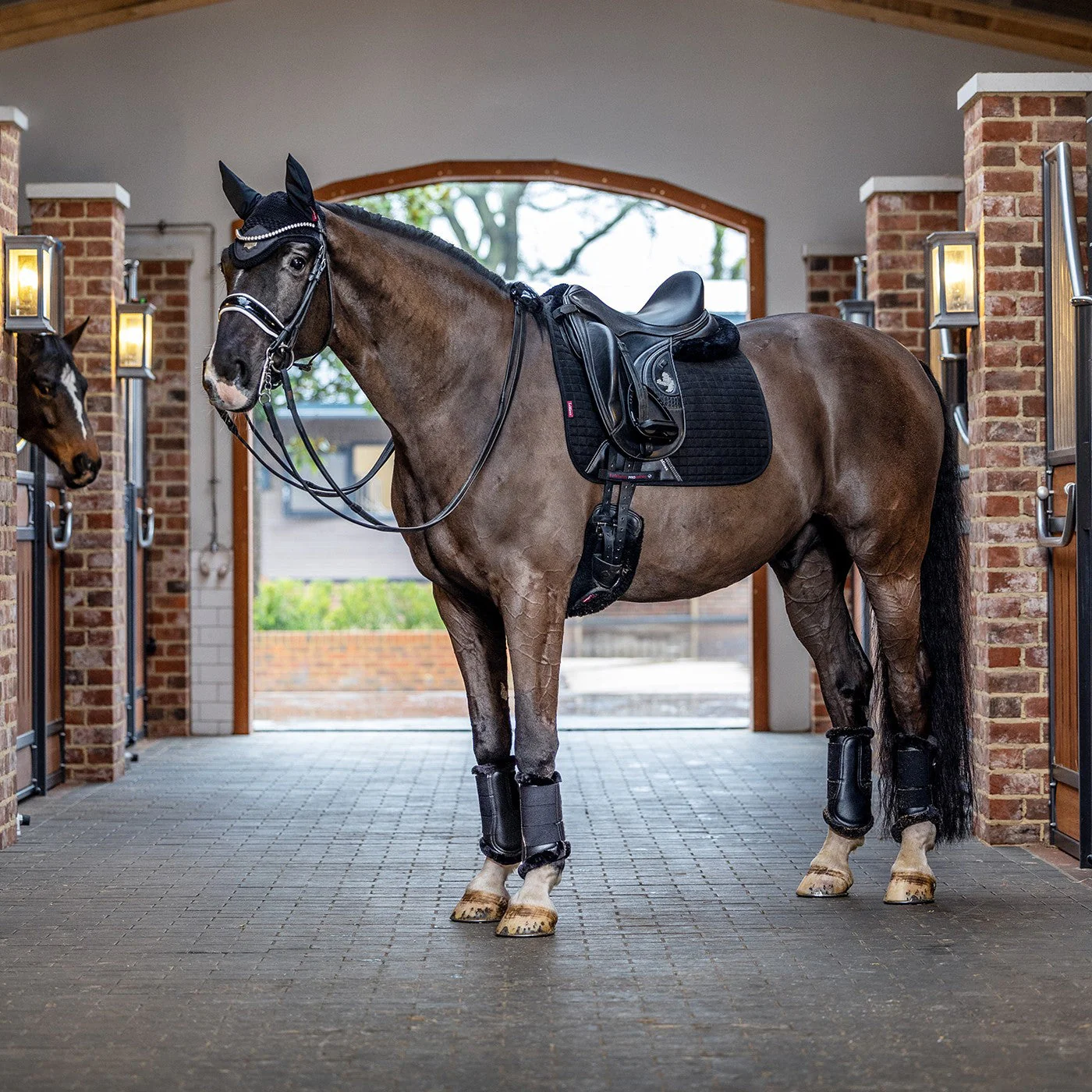 LeMieux Suede Dressage Square Saddle Pad - Image 9