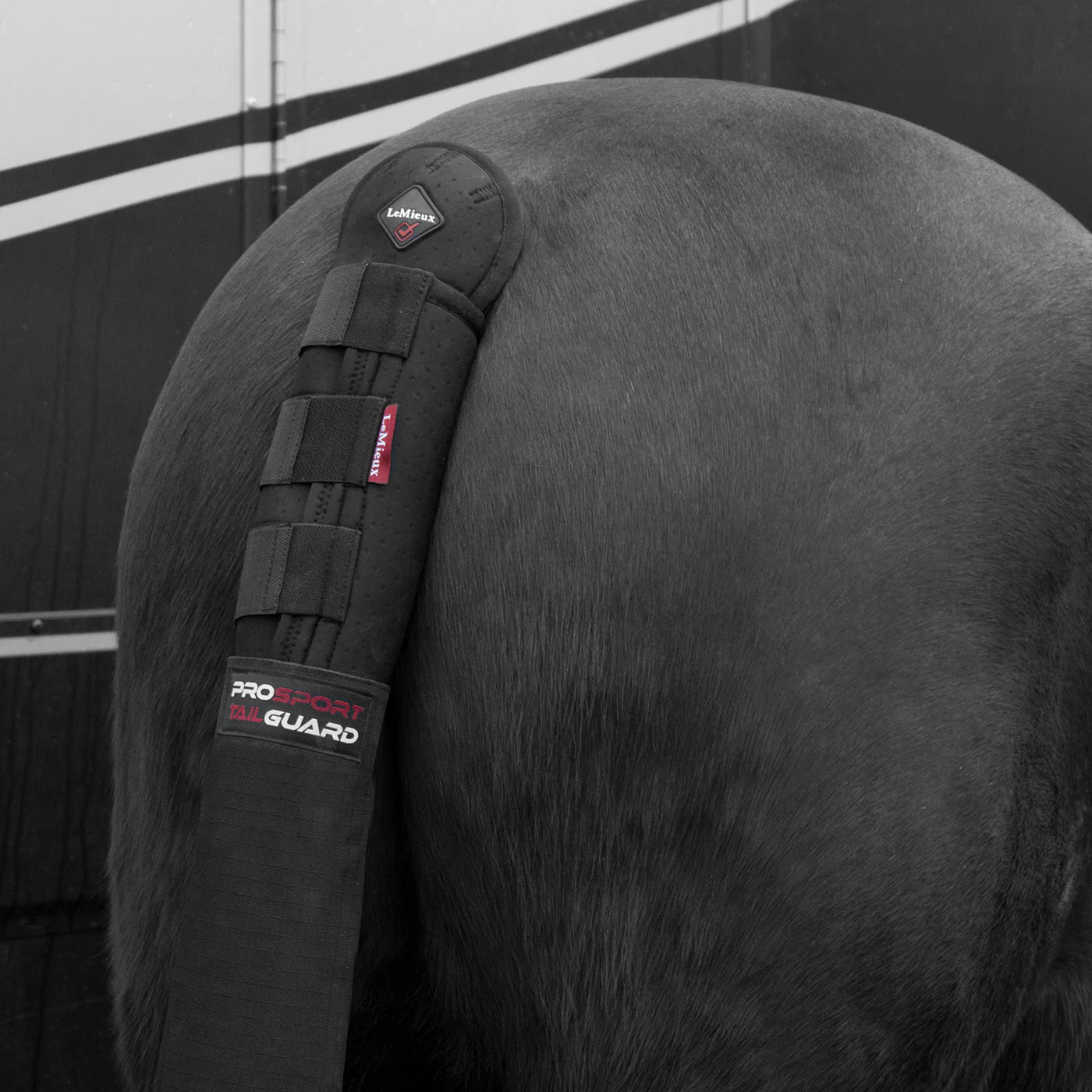 LeMieux Tail Guard W/ Bag - Image 3