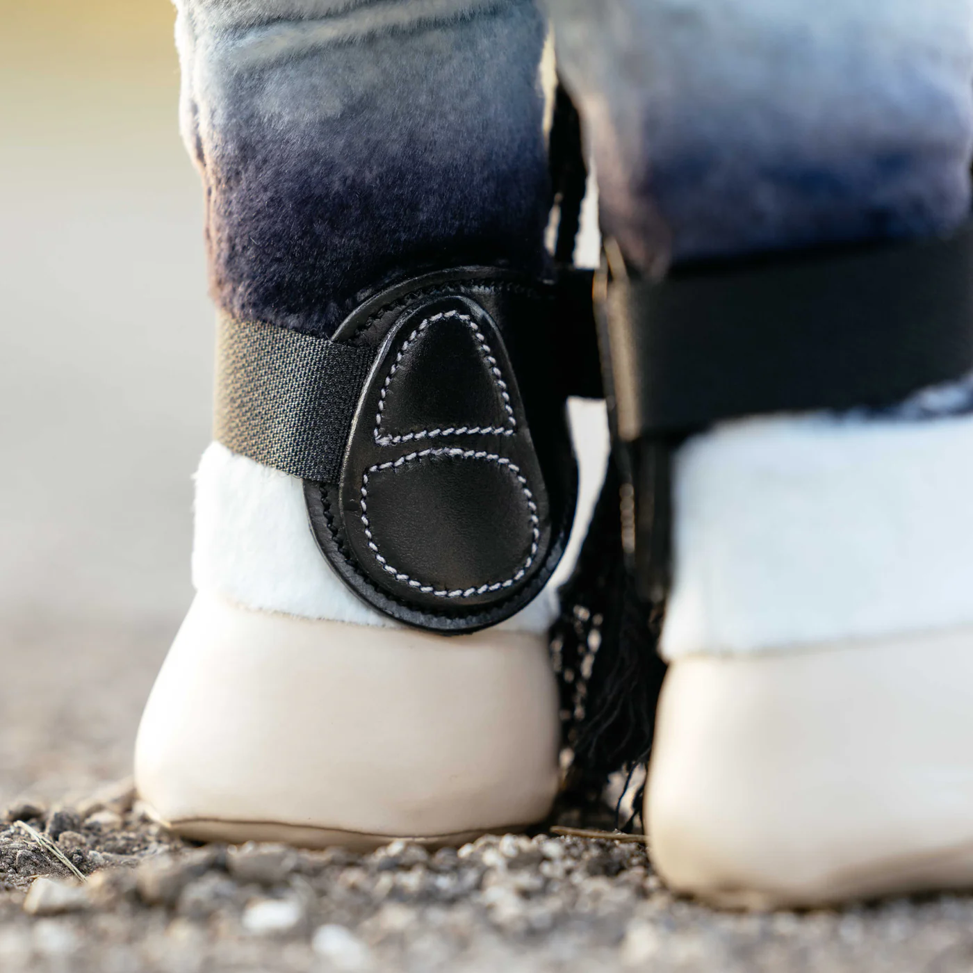 LeMieux Toy Pony Capella Boots - Image 3