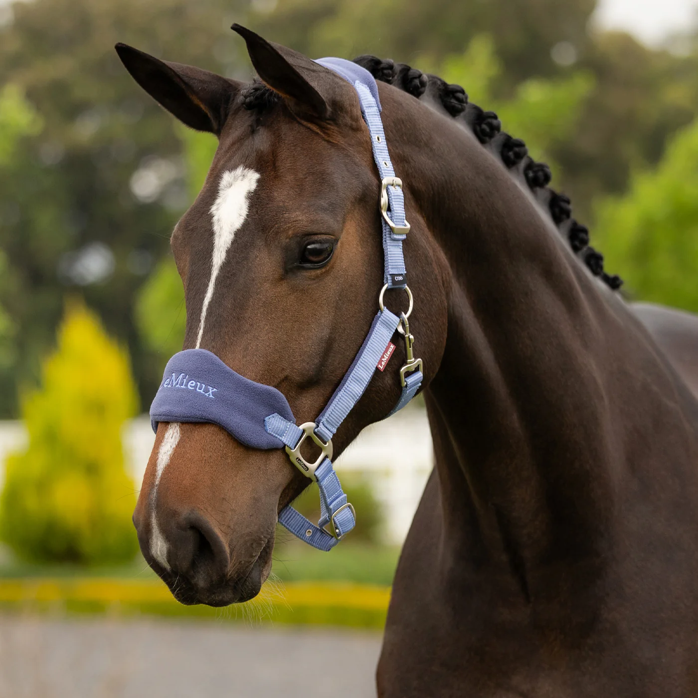 LeMieux Vogue Halter & Lead Rope - Image 5
