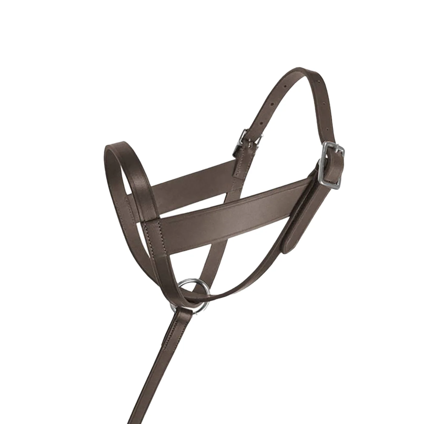 Lexington Foal Halter