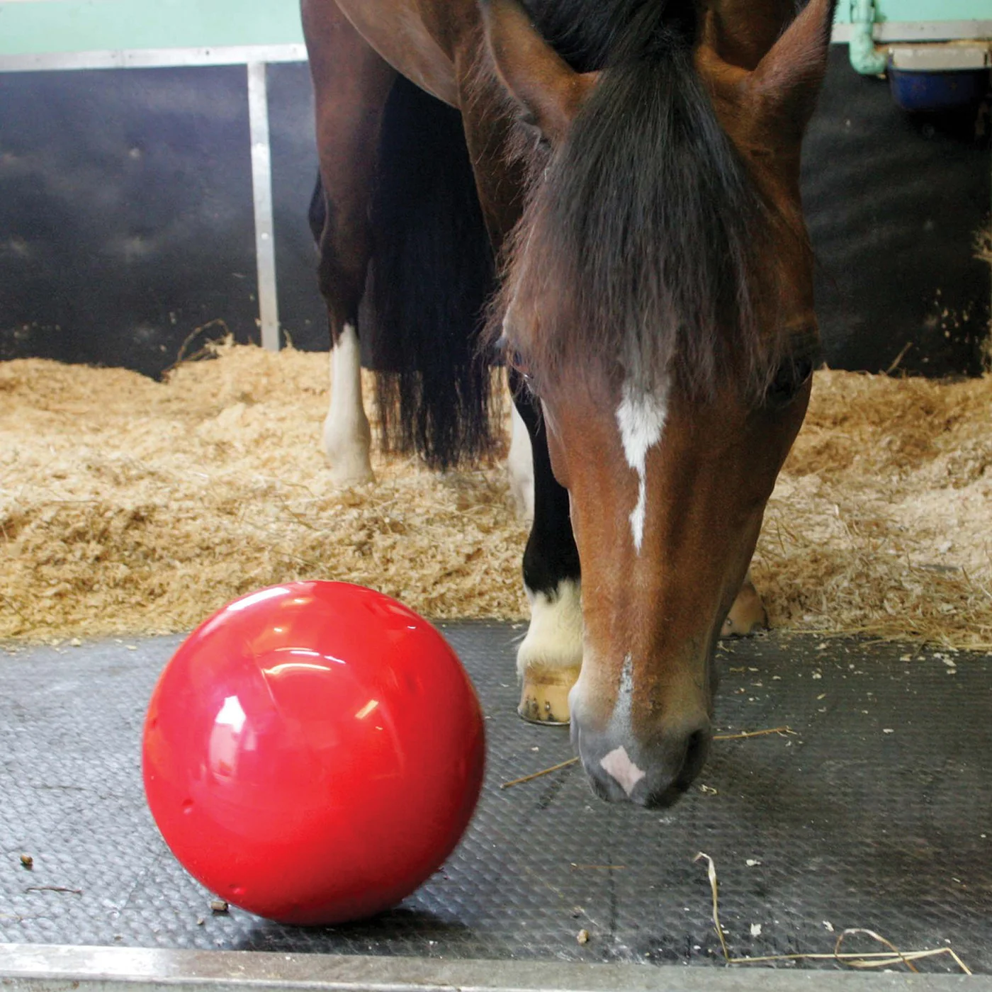 Likit Snak A Ball Complete Horse Toy - Image 2