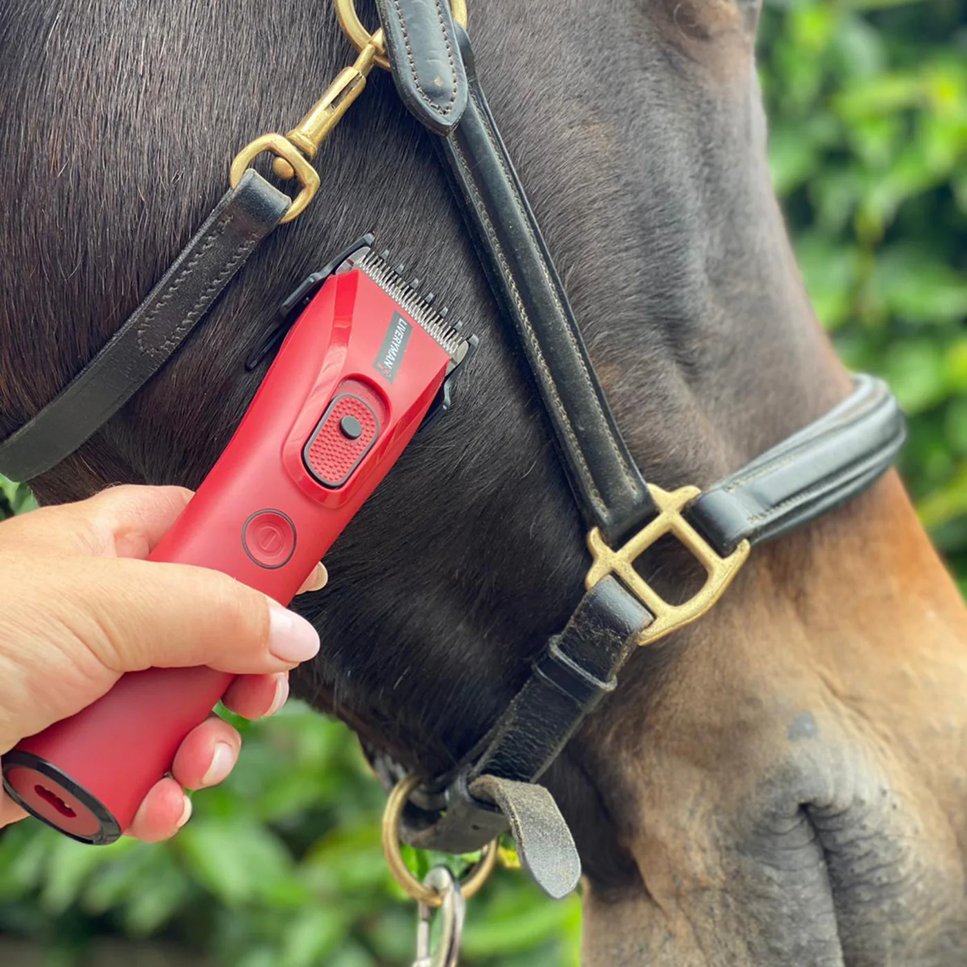 Liveryman Nova Cordless Trimmer - Image 7