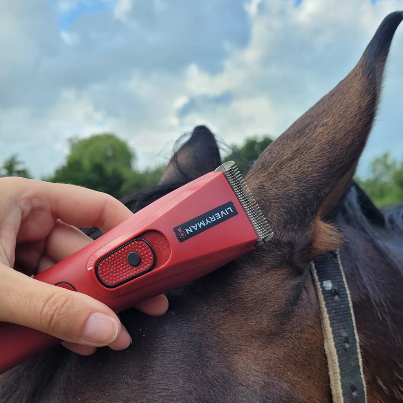 Liveryman Nova Cordless Trimmer - Image 9