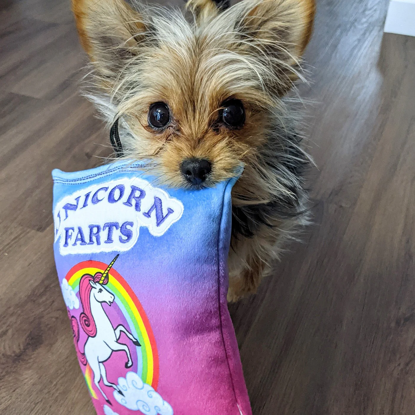 Lulubelles Power Plush Unicorn Farts Dog Toy - Image 5
