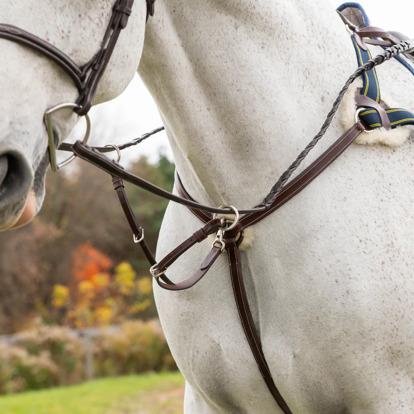 Mondega 5 Point Breastplate - Image 2