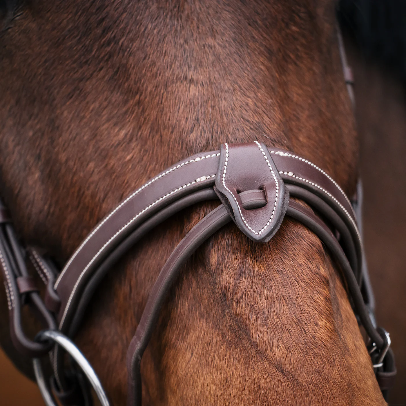Mondega Bayeux Poll Relief Anatomical Bridle - Image 12