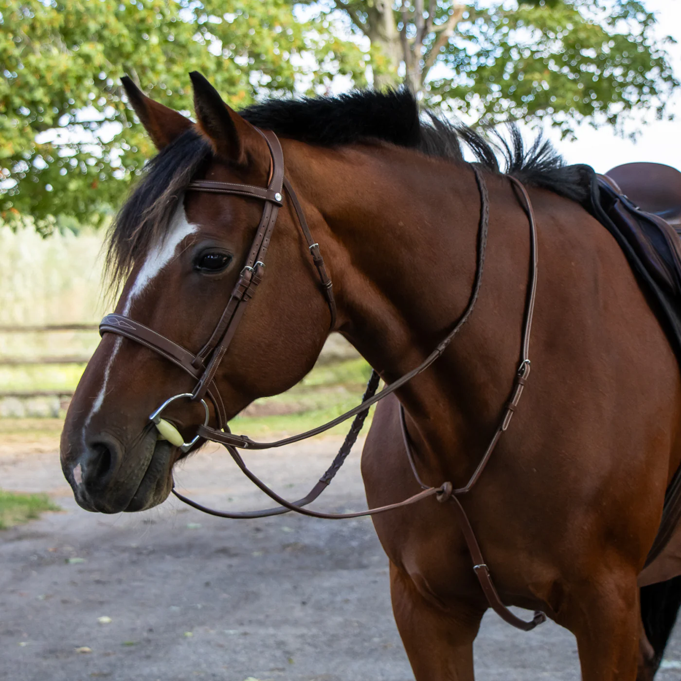 Mondega Carmaux Standing Martingale - Image 3