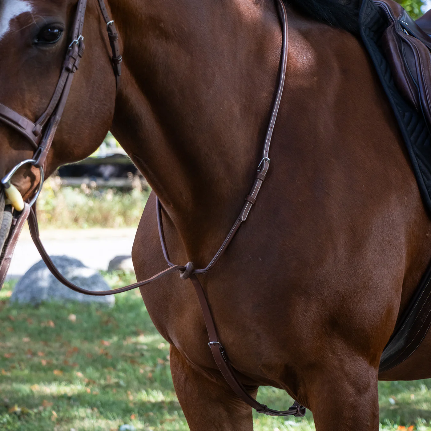 Mondega Carmaux Standing Martingale - Image 4