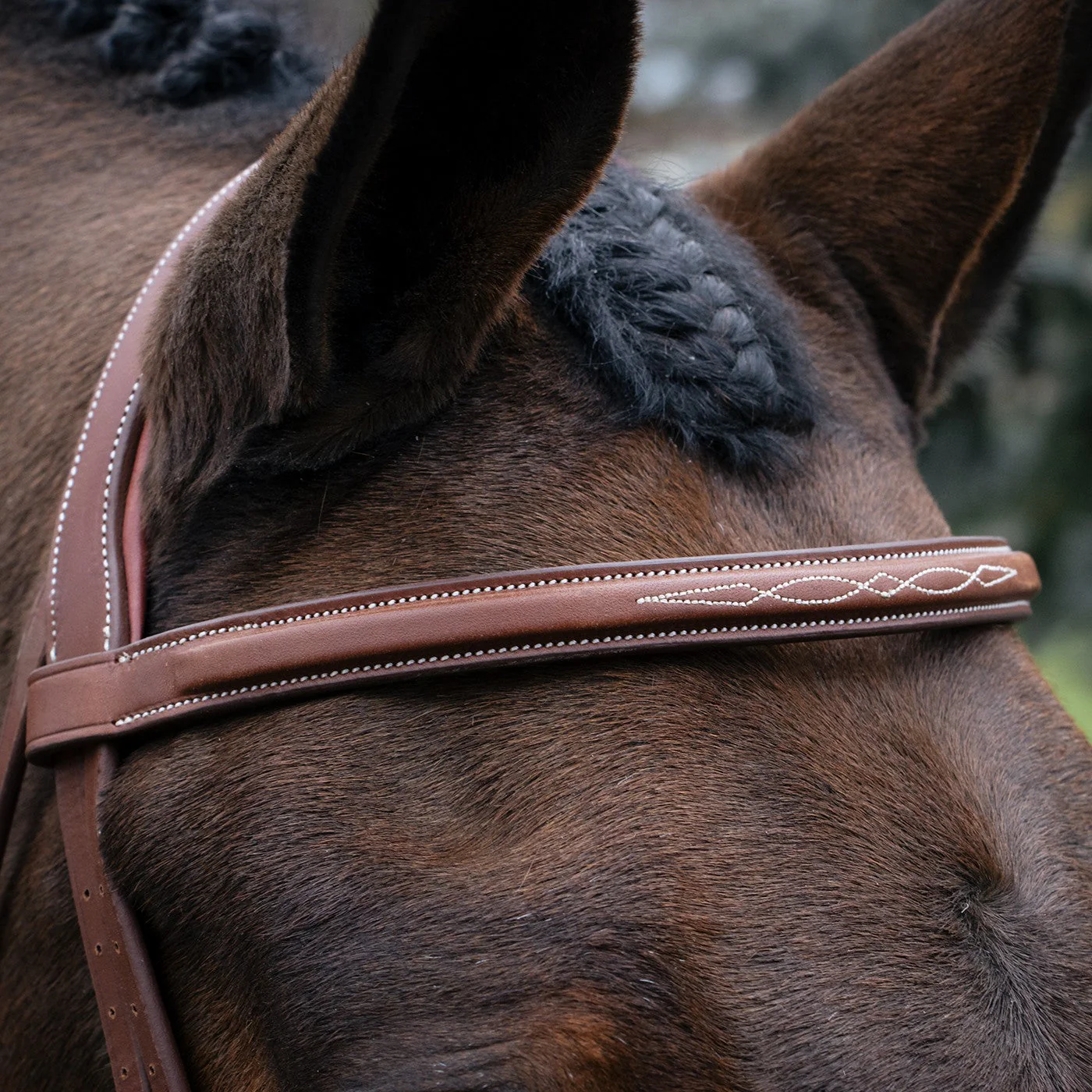 Mondega Gayo Classic Hunter Bridle - Image 13