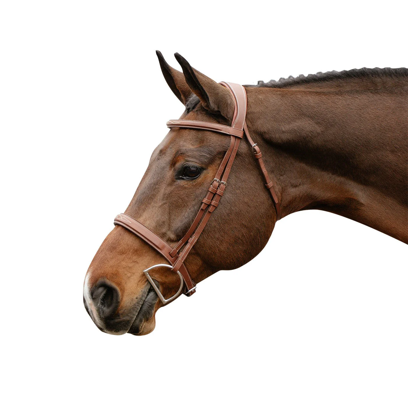 Mondega Gayo Classic Hunter Bridle - Image 8