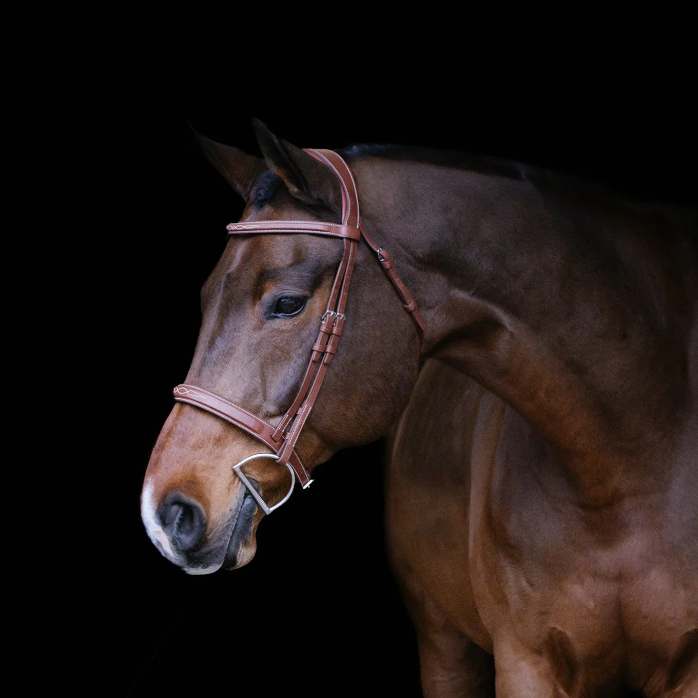Mondega Gayo Classic Hunter Bridle - Image 9