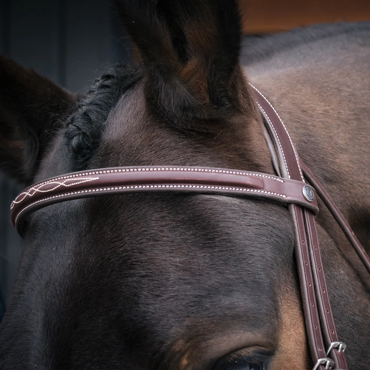 Mondega Gayo Classic Hunter Bridle - Image 10
