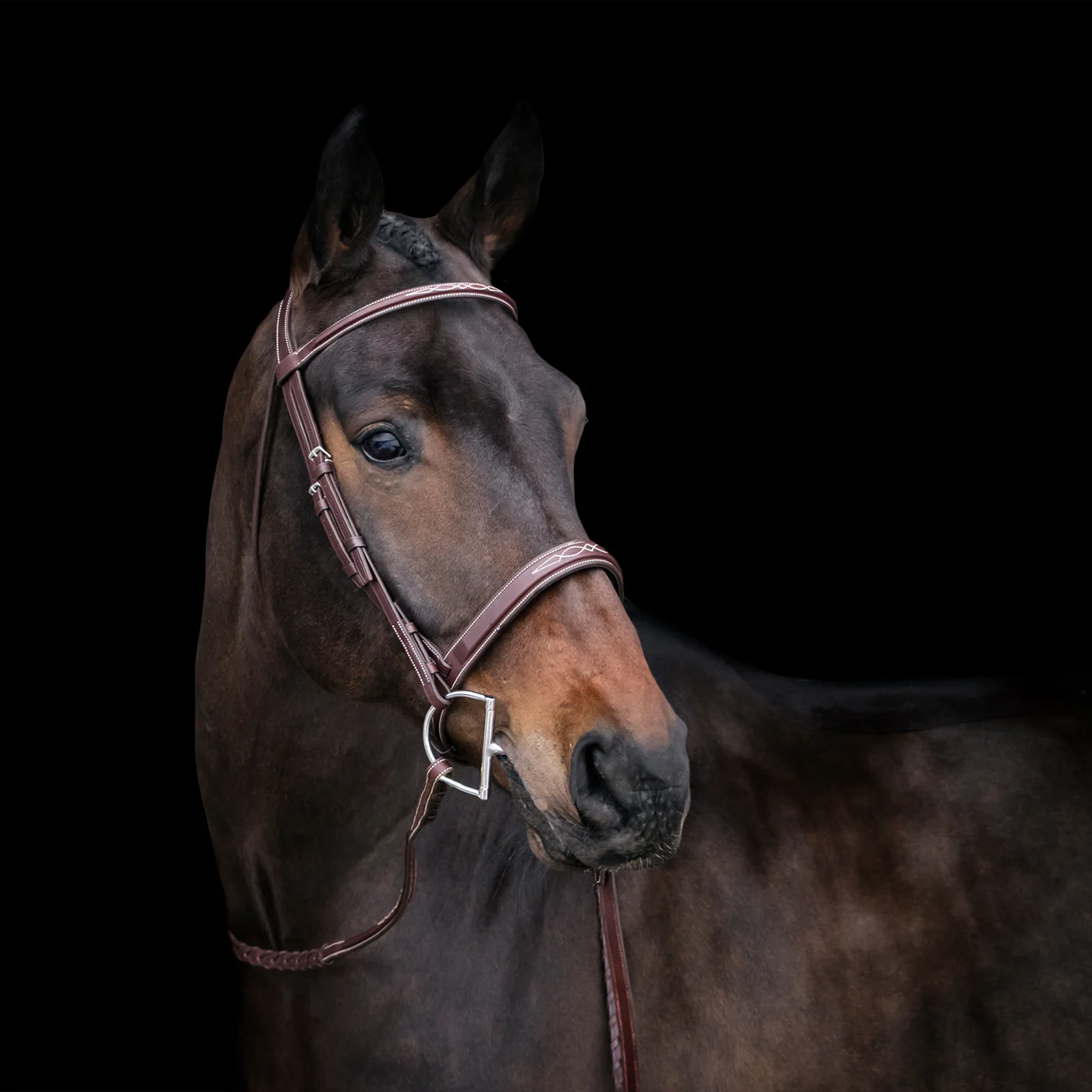 Mondega Gayo Classic Hunter Bridle - Image 5