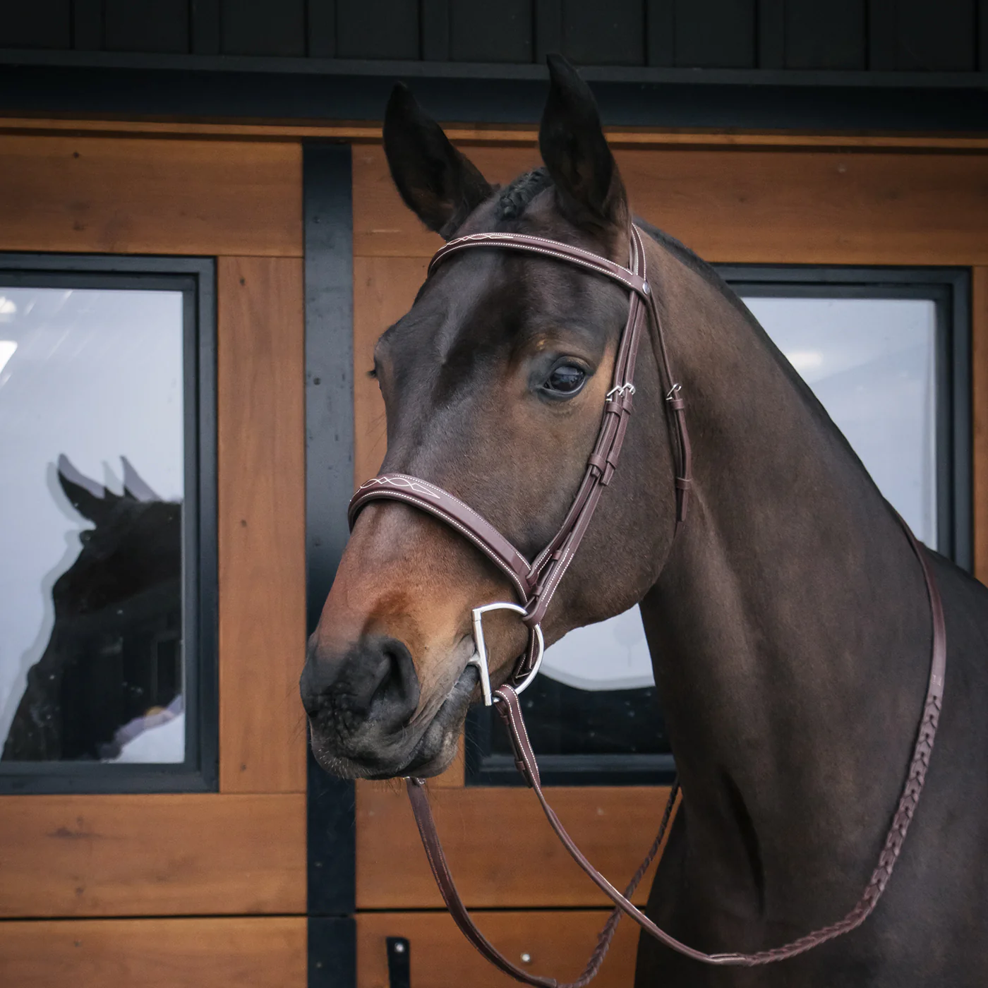 Mondega Gayo Classic Hunter Bridle - Image 6