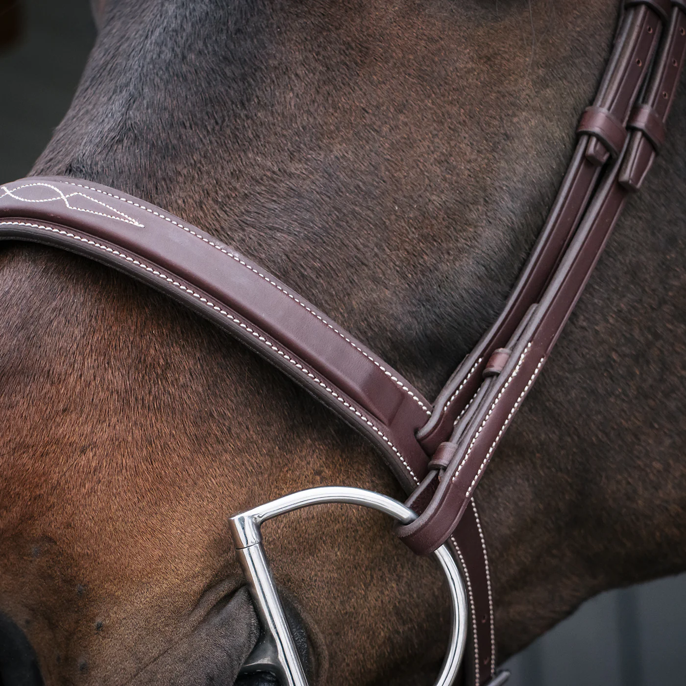 Mondega Gayo Classic Hunter Bridle - Image 7