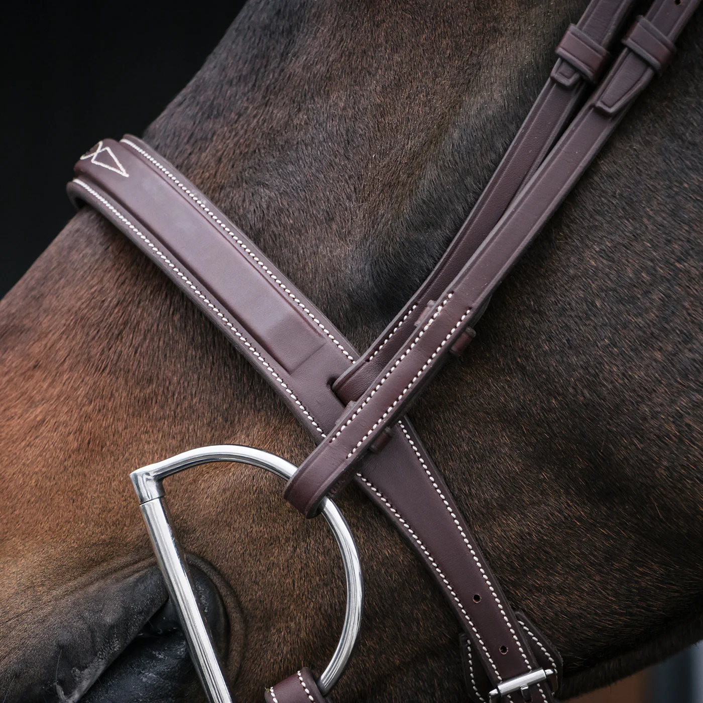 Mondega Gayo Classic Hunter Bridle - Image 8
