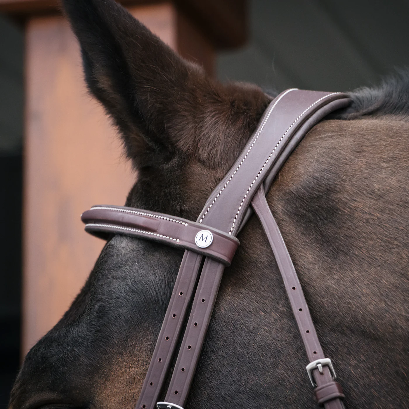 Mondega Gayo Classic Hunter Bridle - Image 9
