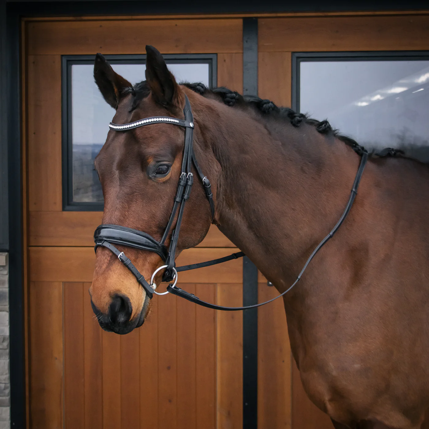 Mondega Laval Dressage Bridle - Image 5