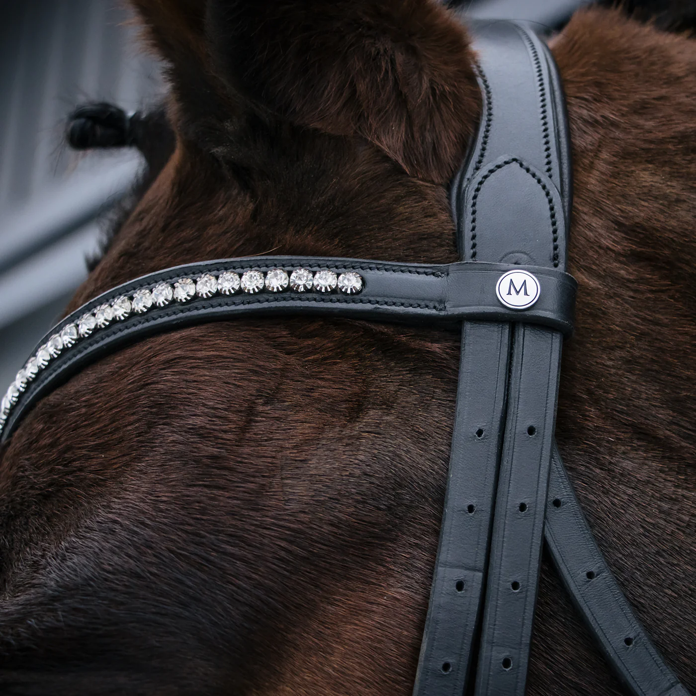 Mondega Laval Dressage Bridle - Image 9