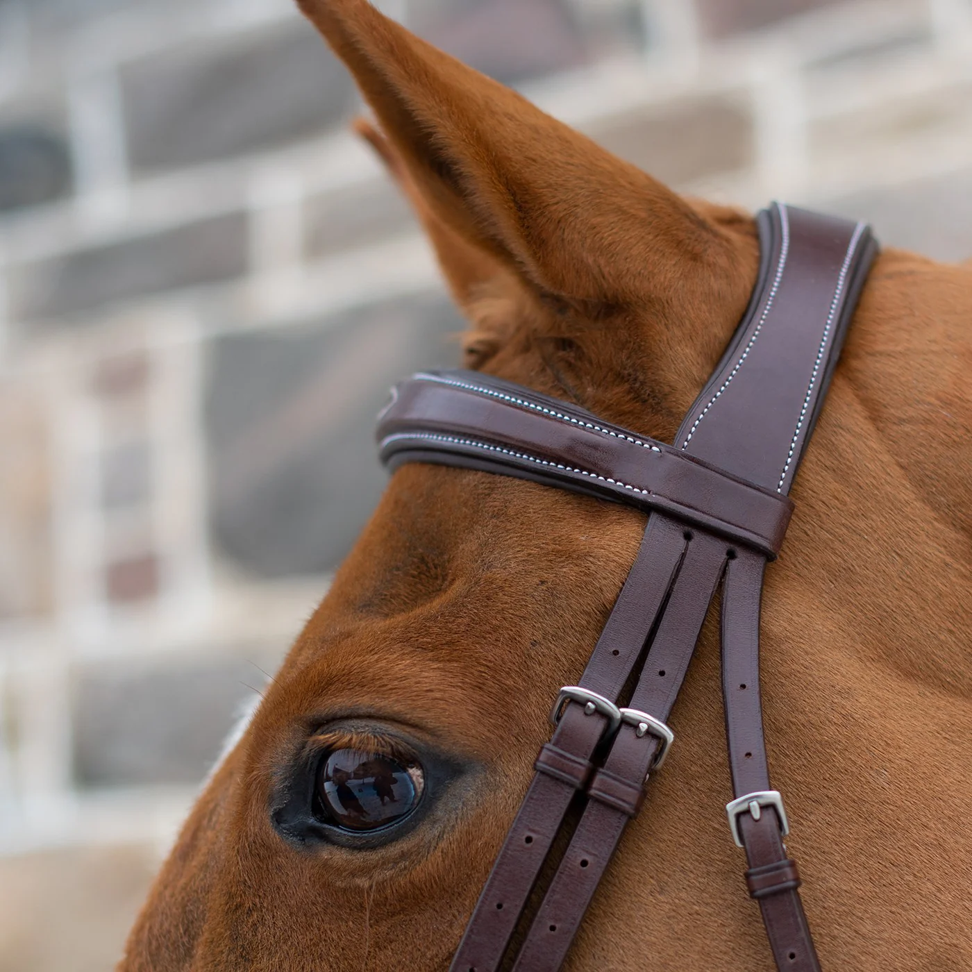 Mondega Liberica Fancy Stitched Hunter Bridle - Image 10