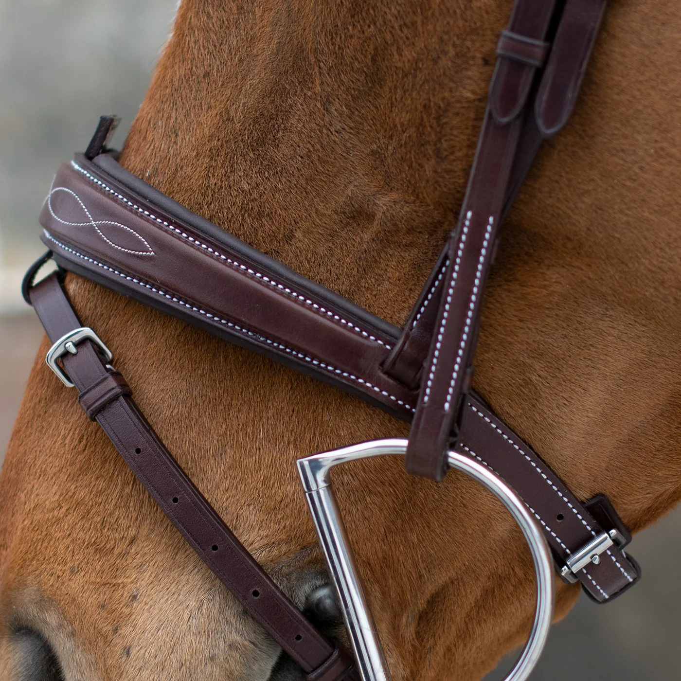 Mondega Liberica Fancy Stitched Hunter Bridle - Image 11