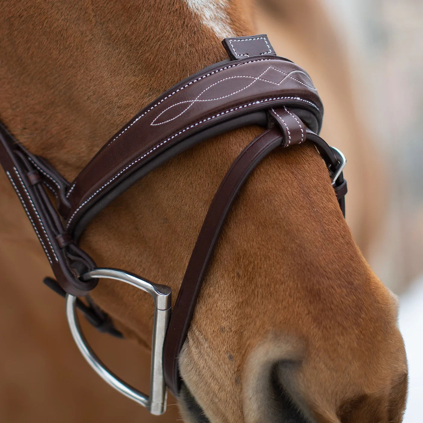 Mondega Liberica Fancy Stitched Hunter Bridle - Image 13