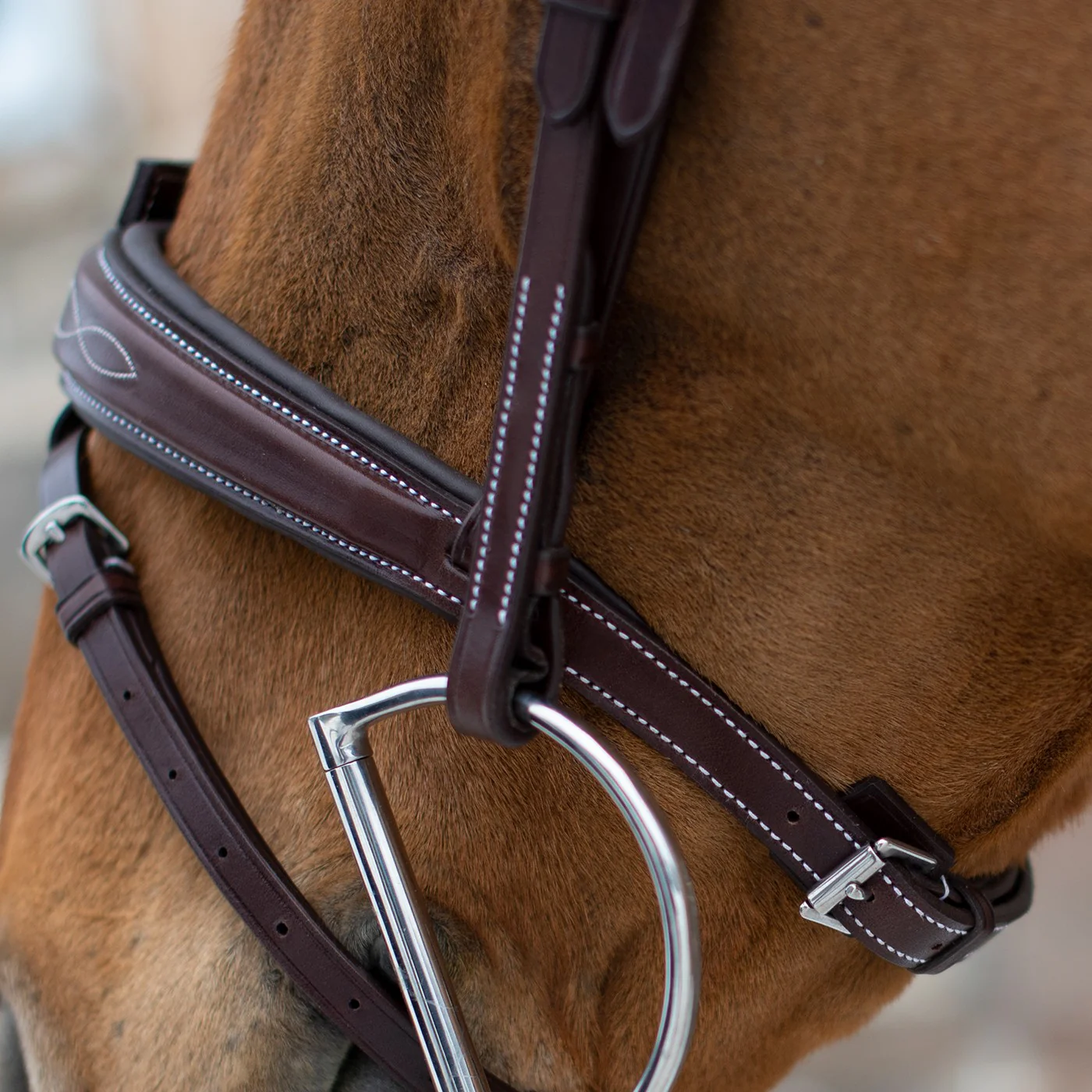 Mondega Liberica Fancy Stitched Hunter Bridle - Image 14