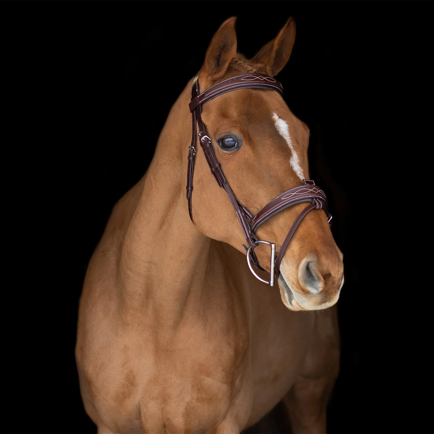 Mondega Liberica Fancy Stitched Hunter Bridle - Image 6