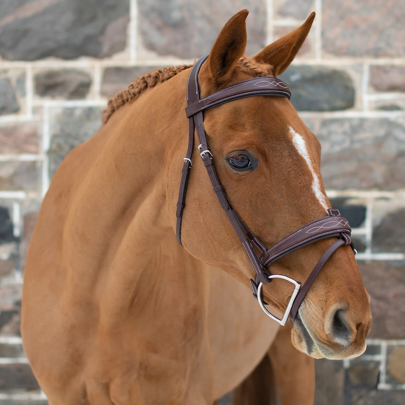 Mondega Liberica Fancy Stitched Hunter Bridle - Image 8