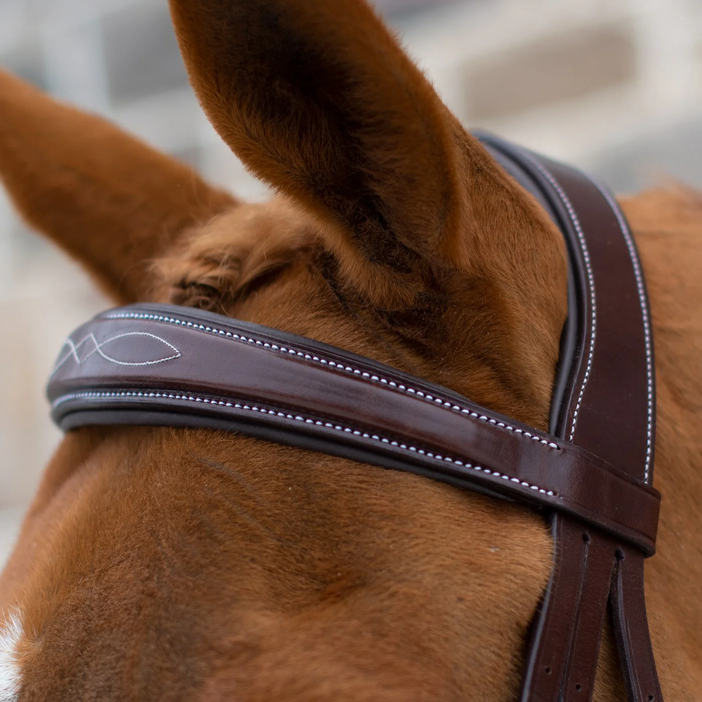 Mondega Liberica Fancy Stitched Hunter Bridle - Image 9