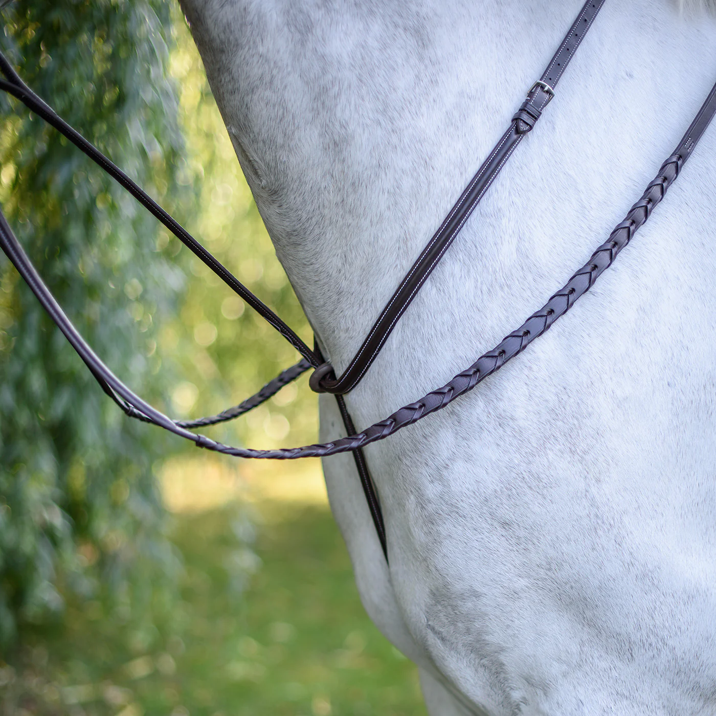 Mondega Standing Martingale - Image 3