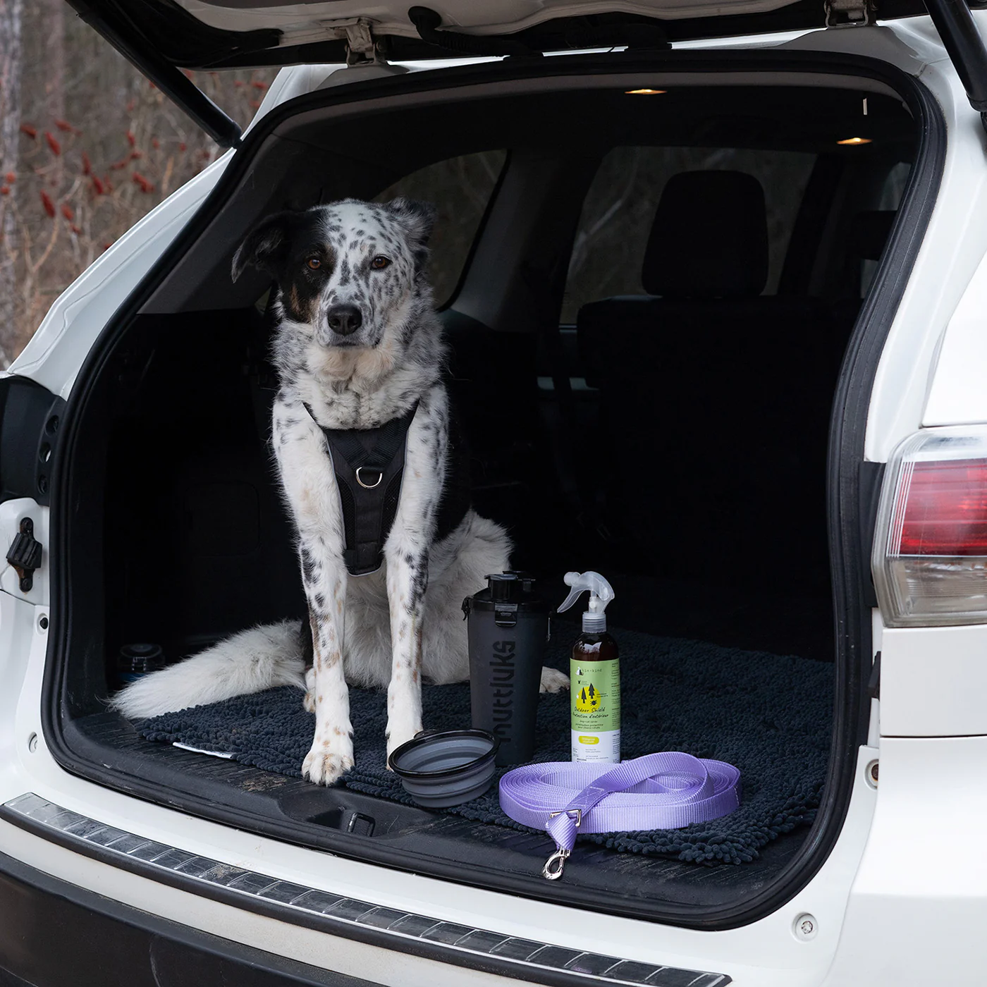 Muttluks MuTTravel Bottle - Image 7