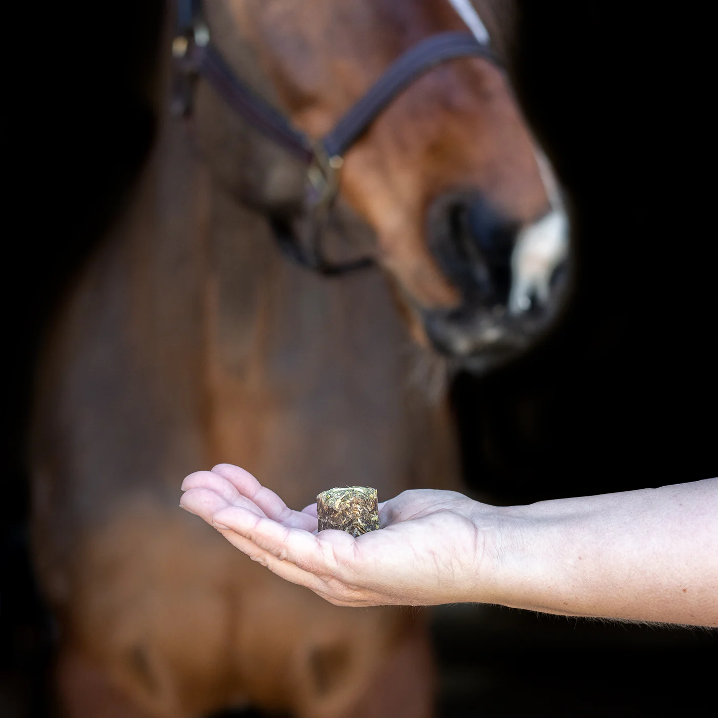 Nickers Crunchy Cubes Horse Treats - Image 19