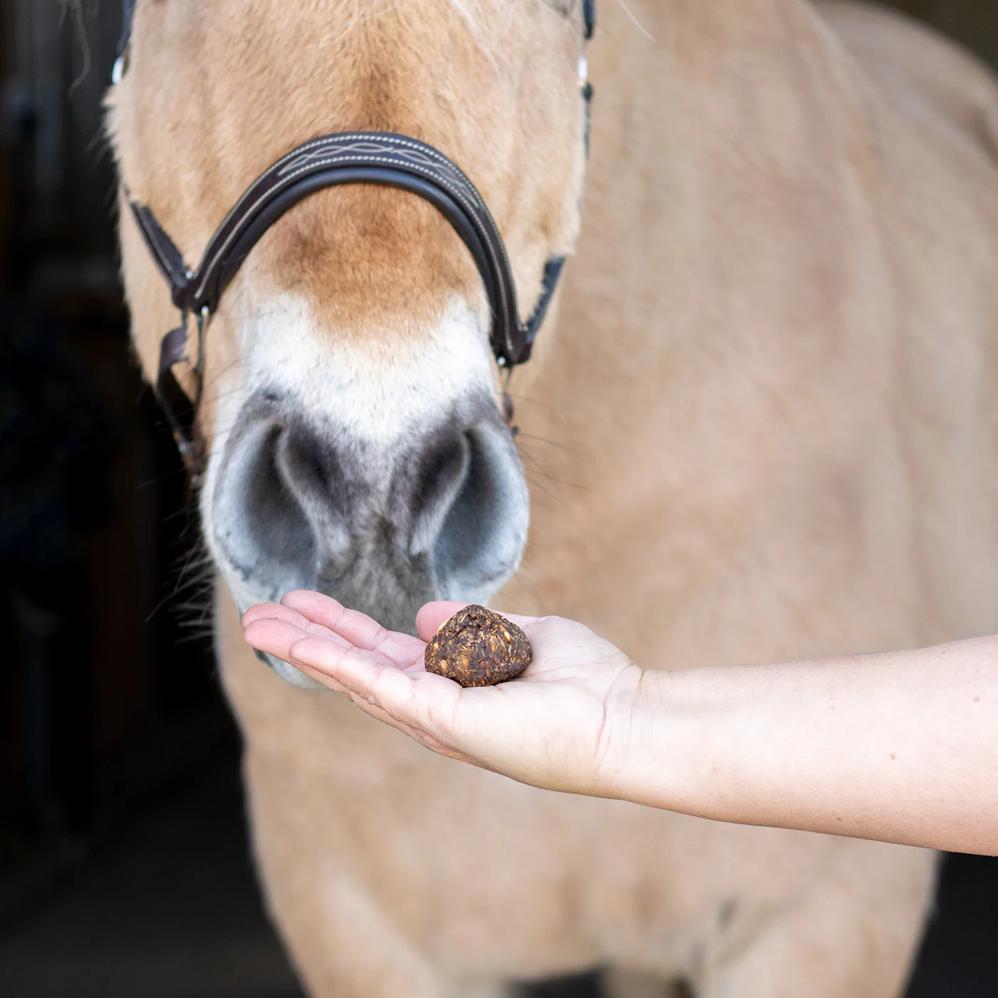 Nickers Original Muffins Horse Treats - Image 45