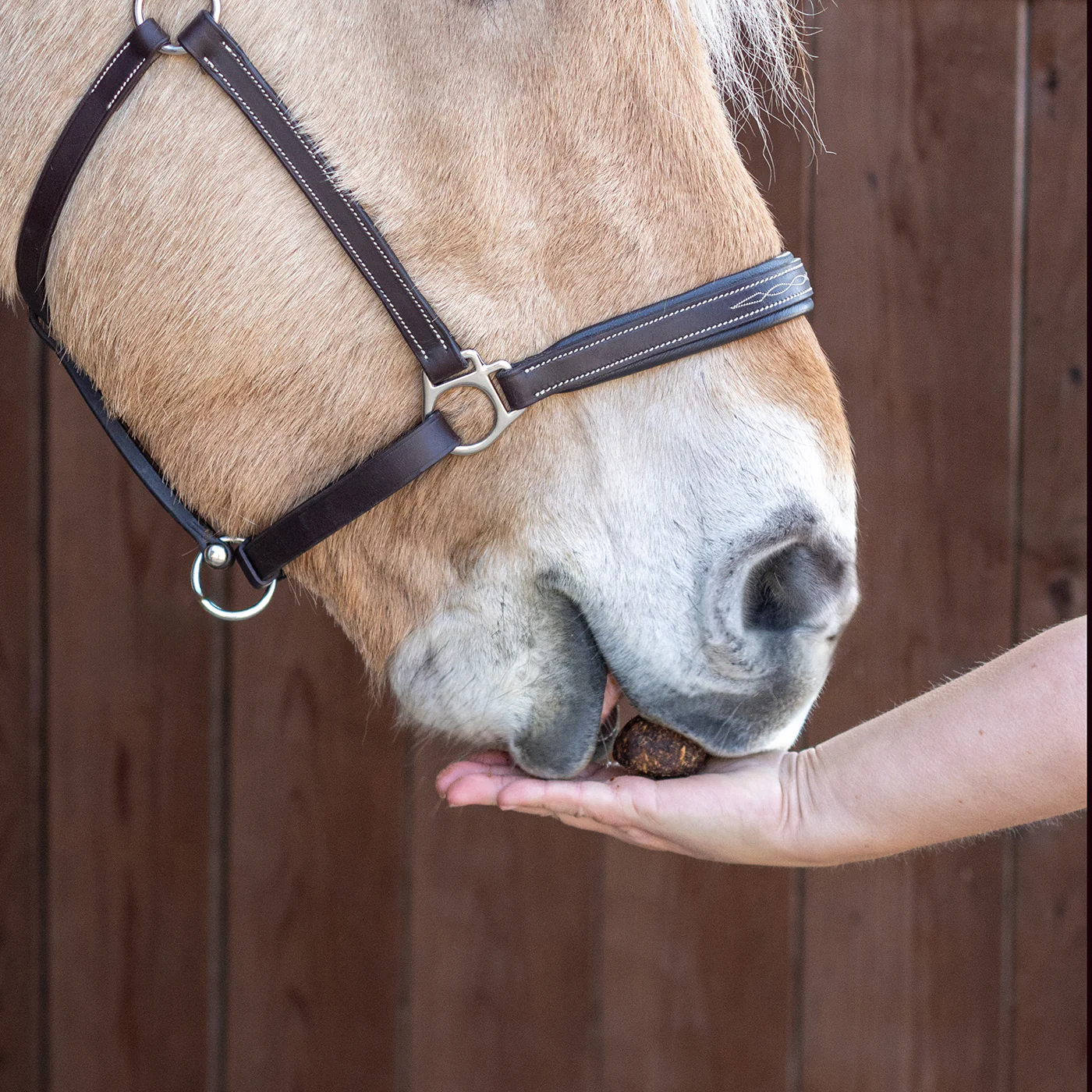 Nickers Original Muffins Horse Treats - Image 46